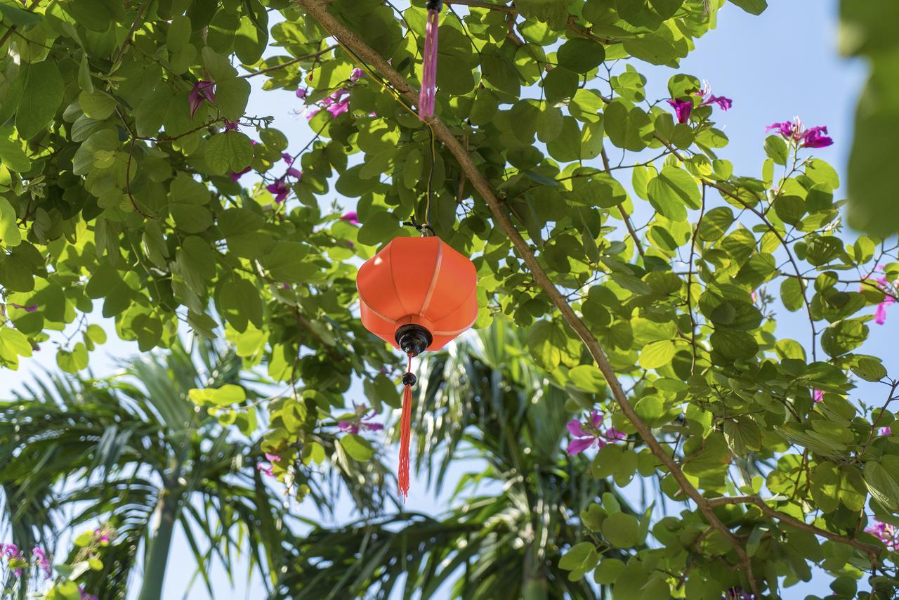 Hoi An Luna Villa Esterno foto